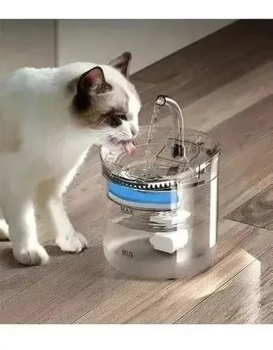 Fuente de agua para Gato con sensor